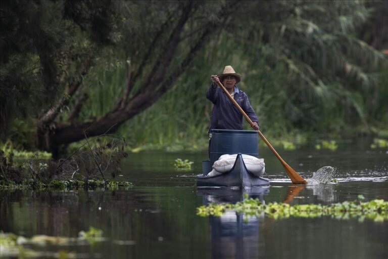 Mexican Ancient Farmer