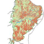 Mapa Do Bioma Caatinga Contendo A Distribuicao Espacial Das Areas Com