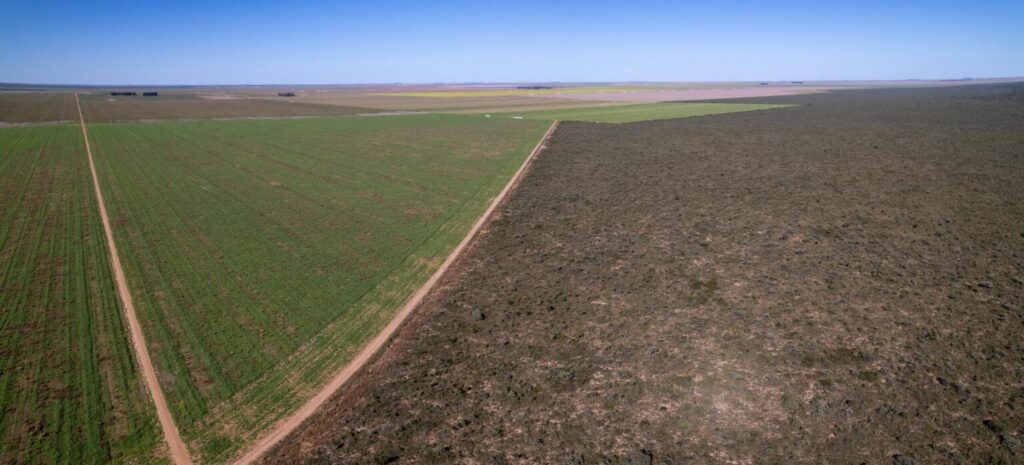 Fazenda No Cerrado