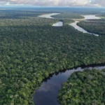 Floresta Amazônica