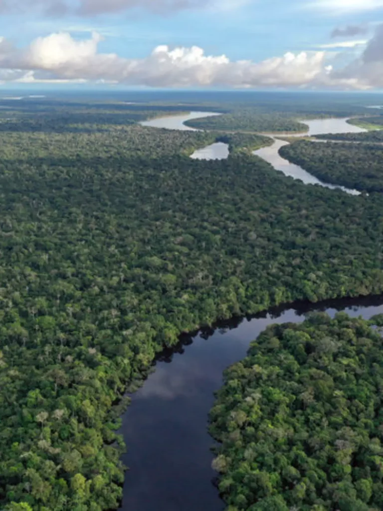 Floresta Amazônica