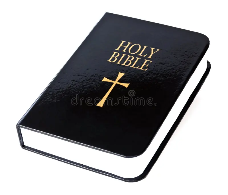 Holy Bible 21987646