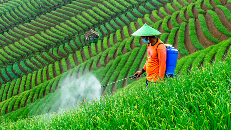 Rice Pesticide