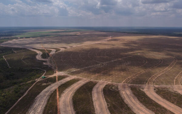 BRAZIL ENVIRONMENT CLIMATE AGRICULTURE CERRADO