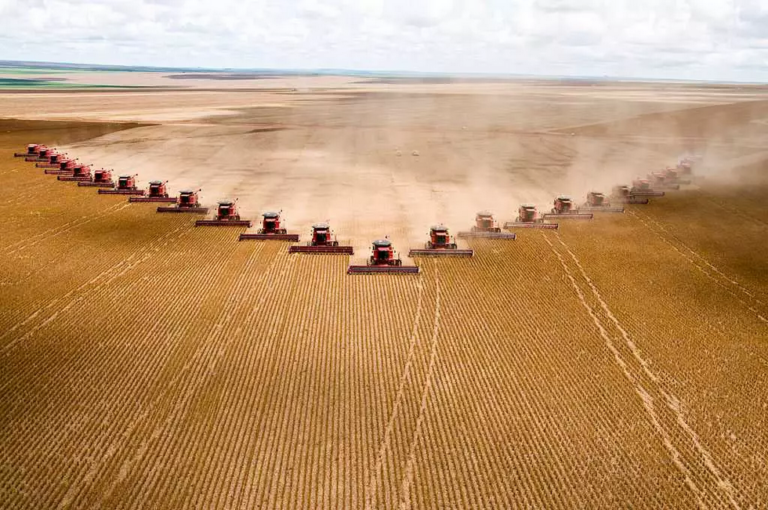 Agro Terrível