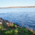 Lago Poluido Por Produtos Agrícolas