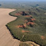 Desmatamento Cerrado Adriano Gambarini WWF Brazil