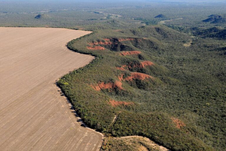 Desmatamento Cerrado Adriano Gambarini WWF Brazil