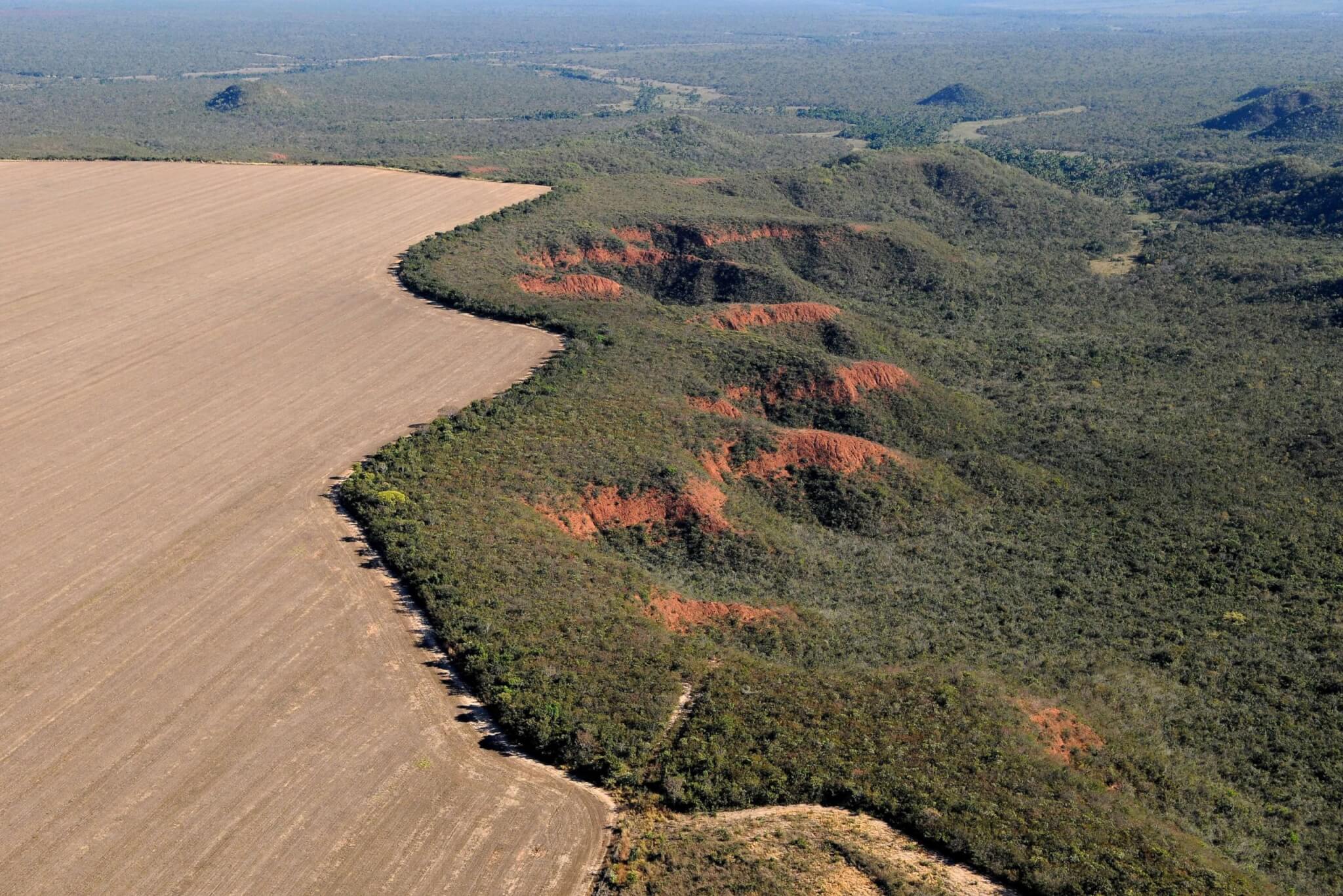 Desmatamento Cerrado Adriano Gambarini WWF Brazil