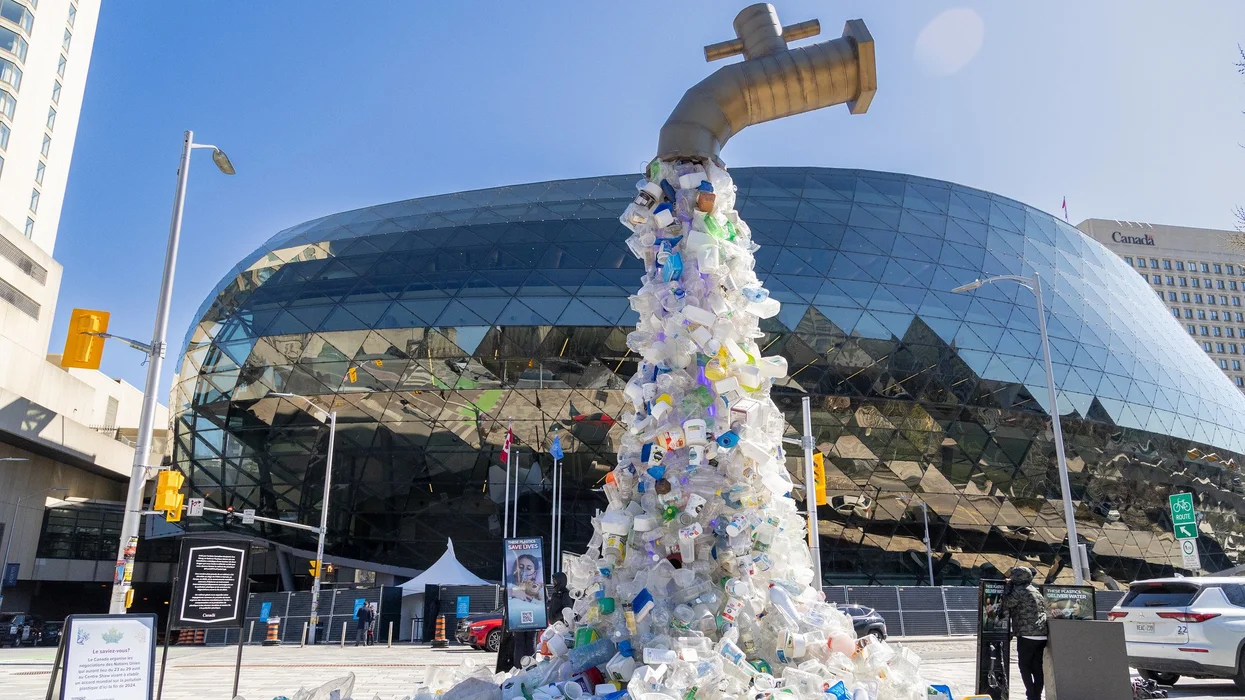 Escultura De Plásticos