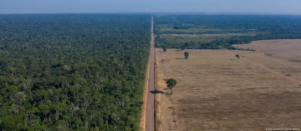 Soja Amazônia