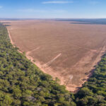 Amazônia Desmatada