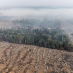 Desmatamento Ilegal Na Amazônia