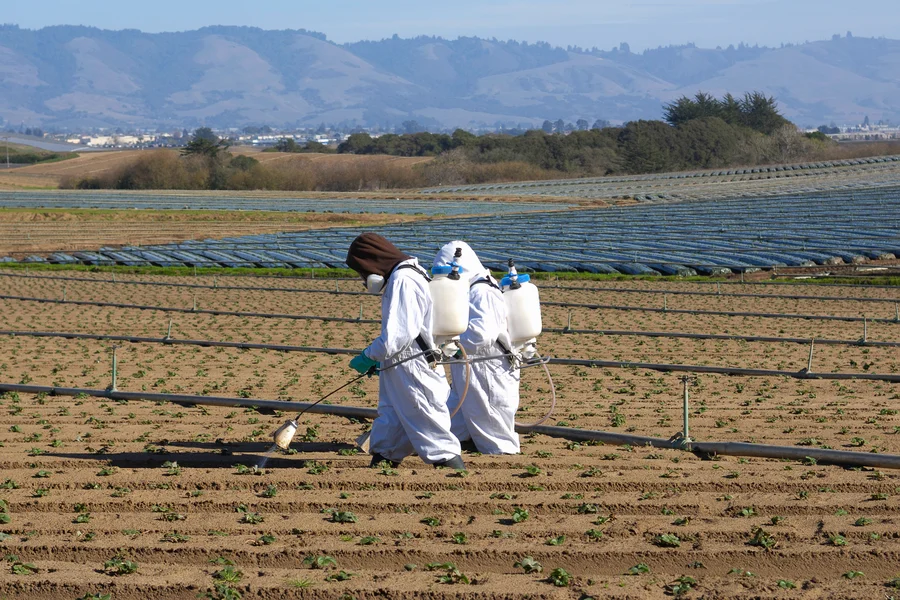 PFAS Agrotóxico