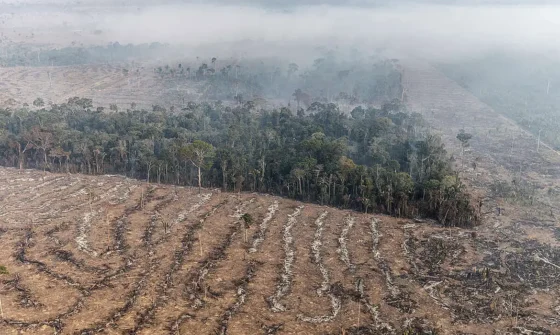 Emergência climática: Como queimadas na Amazônia aceleram derretimento na Antártida a milhares de quilômetros de distância