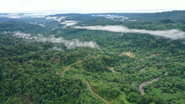 Amazônia Comunidade De Povos Originários