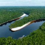 Amazônia Mineração