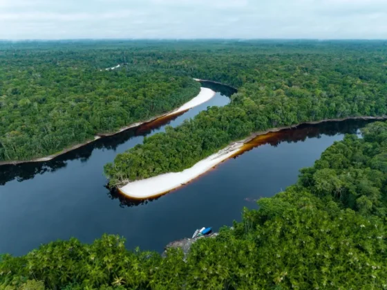 Agricultura: Deputados do Mato Grosso aprovam lei que “transforma” Amazônia em Cerrado