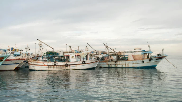 Peixes Pfas