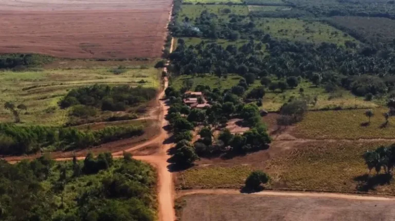 Perda Vegetação Agronegócio