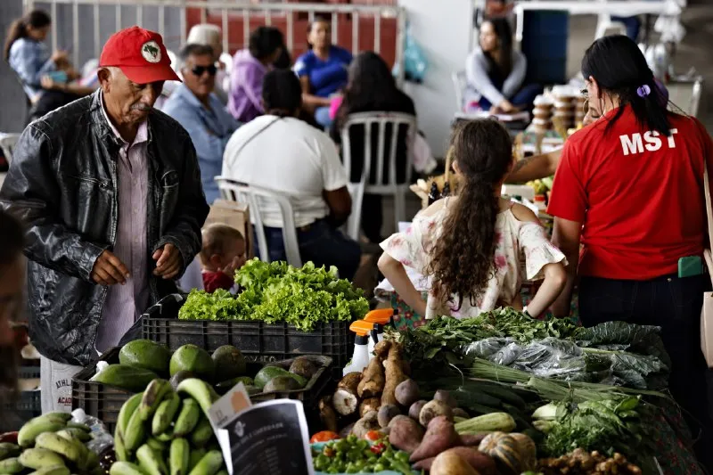 Agroecologia E O Mst