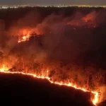 Incêndio Em Brasília