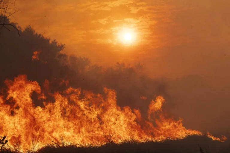 Incêndio No Pantanal