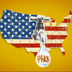 PFAS USA