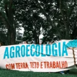 Agricultura ecológica paraná