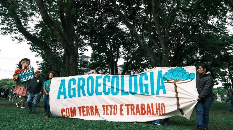 Agricultura ecológica paraná