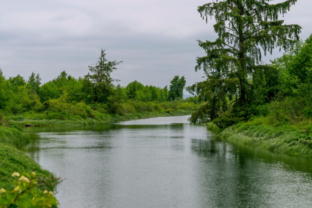 View of the union slough from the bridge to spencer island,