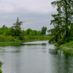 View of the union slough from the bridge to spencer island,