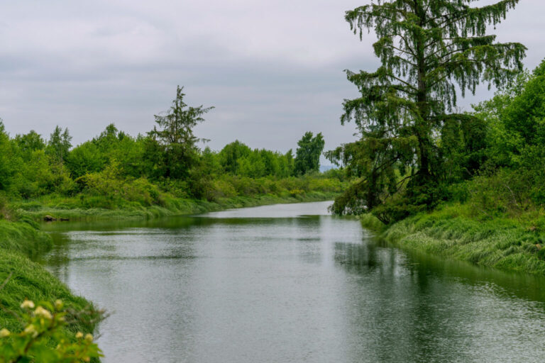 View of the union slough from the bridge to spencer island,