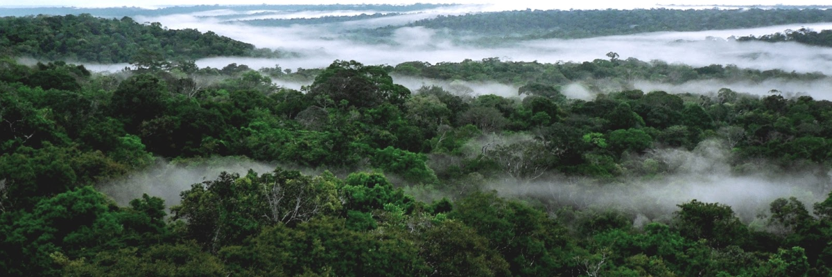 Rios voadores amazonia foto reproducao