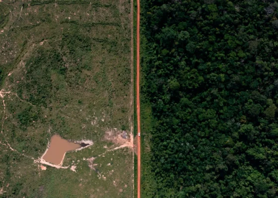Globalização: Como bancos e dinheiro público financiam o colapso da Amazônia