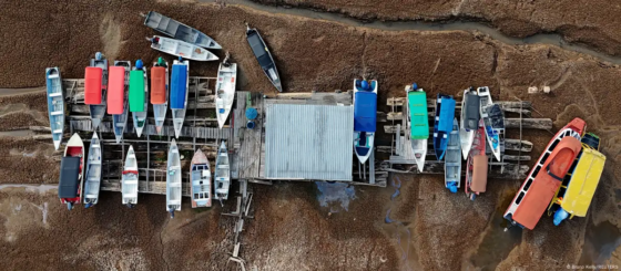 Mudanças climáticas: Brasil tem cada vez menos áreas cobertas por água