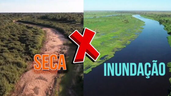 Mudanças climáticas: Pantanal é o bioma que mais perdeu superfície de água em relação à média histórica: 61%.