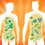 Microbiota