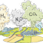 Emissões De Gases De Efeito Estufa 67244534