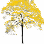 Ipê Amarelo