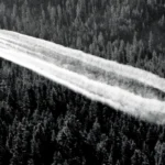 Ddt Spray
