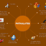 Phthalates Infographic