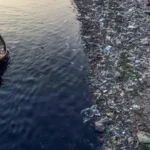 Rio Plásticos