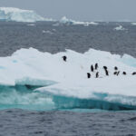 Derretimento Geleiras Antartica