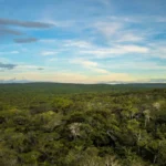 Caatinga Michael Esquer IMG 5621