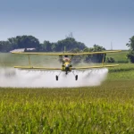 Exposição Nos EUA A Agrotóxicos