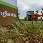 Syngenta No Campo