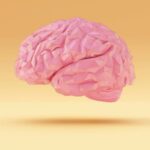 Microplástico cérebro humano